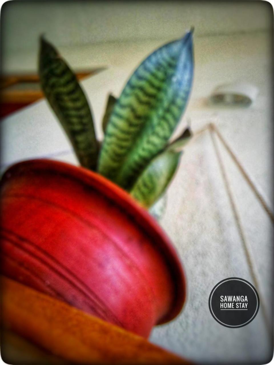 Sawanga Home Stay Weligama Dış mekan fotoğraf